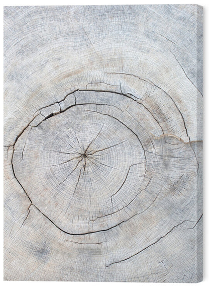 Leinwand Poster, Bilder Pattern_wood_2, Studio Collection, 50 × 70 cm