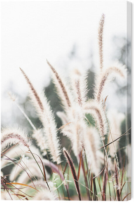 Leinwand Poster, Bilder Grass, Studio Collection, 40 × 60 cm