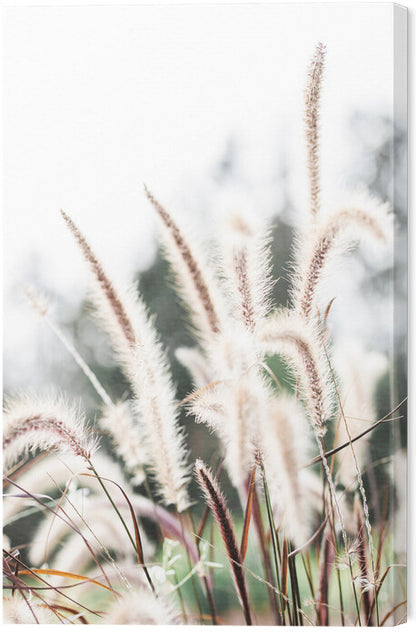 Leinwand Poster, Bilder Grass, Studio Collection, 40 × 60 cm