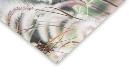 Leinwand Poster, Bilder Grass, Studio Collection, 40 × 60 cm