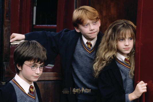 Harry Potter - Finally over Poster, Plakat, 40 × 26.7 cm