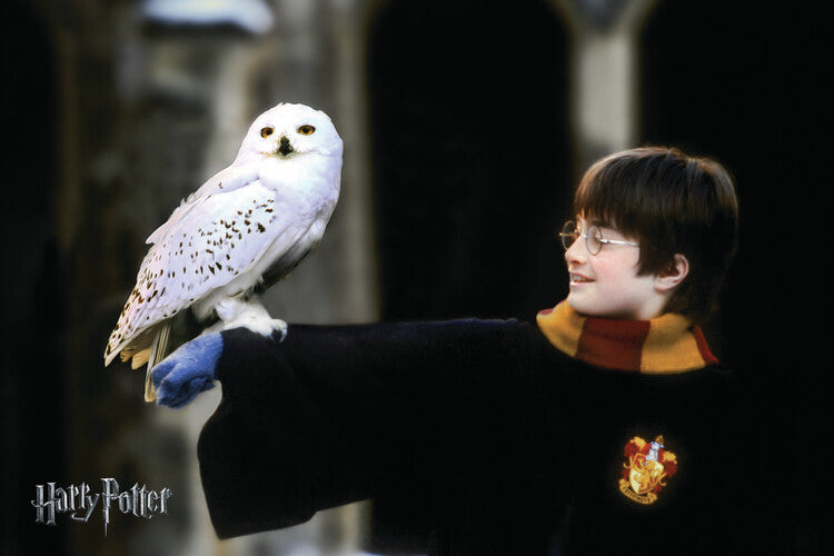 Harry Potter with Hedvig Poster, Plakat, 40 × 26.7 cm
