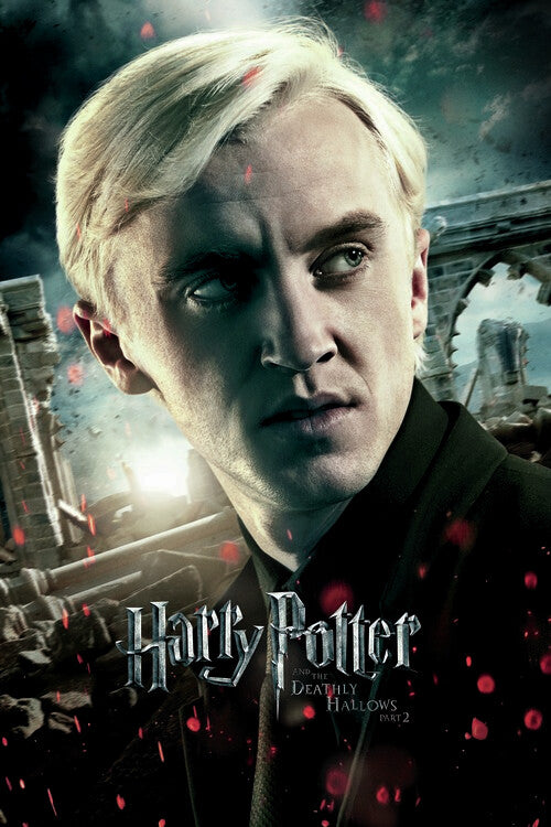 Leinwand Poster, Bilder Harry Potter - Draco, 60 × 90 cm