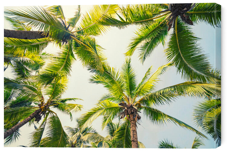 Leinwand Poster, Bilder Tropical Vibe, 60 × 40 cm