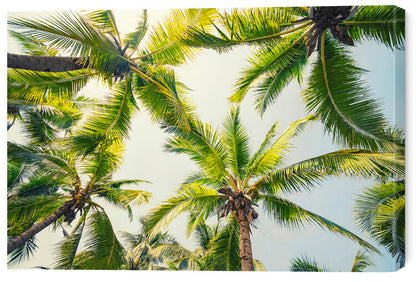 Leinwand Poster, Bilder Tropical Vibe, 60 × 40 cm