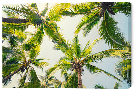 Leinwand Poster, Bilder Tropical Vibe, 60 × 40 cm