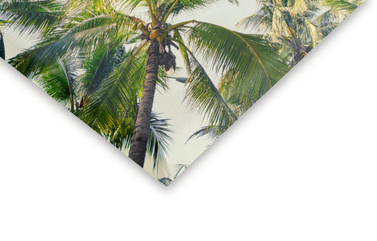 Leinwand Poster, Bilder Tropical Vibe, 60 × 40 cm