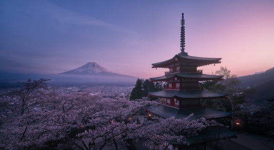 Leinwand Poster, Bilder Mt Fuji Sakura, Javier de la, 90 × 50 cm