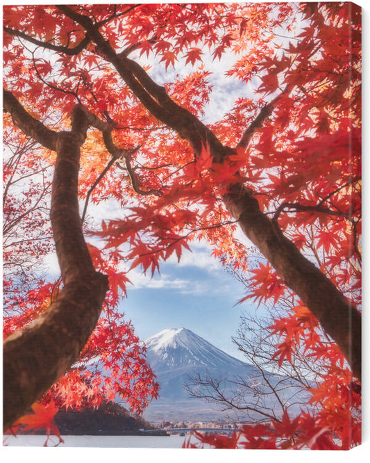 Leinwand Poster, Bilder Mt.fuji is in the autumn leaves, Makiko Samejima, 55 × 70 cm
