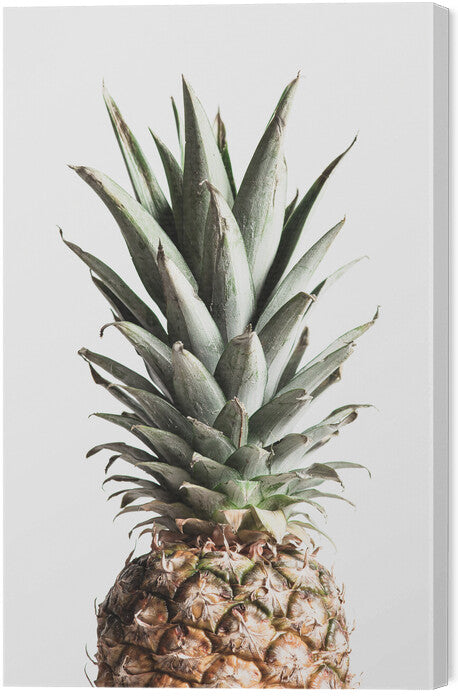Leinwand Poster, Bilder Pineapple Natural, Studio Collection, 40 × 60 cm