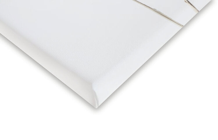 Leinwand Poster, Bilder Pampas White, Studio Collection, 40 × 60 cm