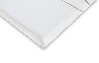 Leinwand Poster, Bilder Pampas White, Studio Collection, 40 × 60 cm