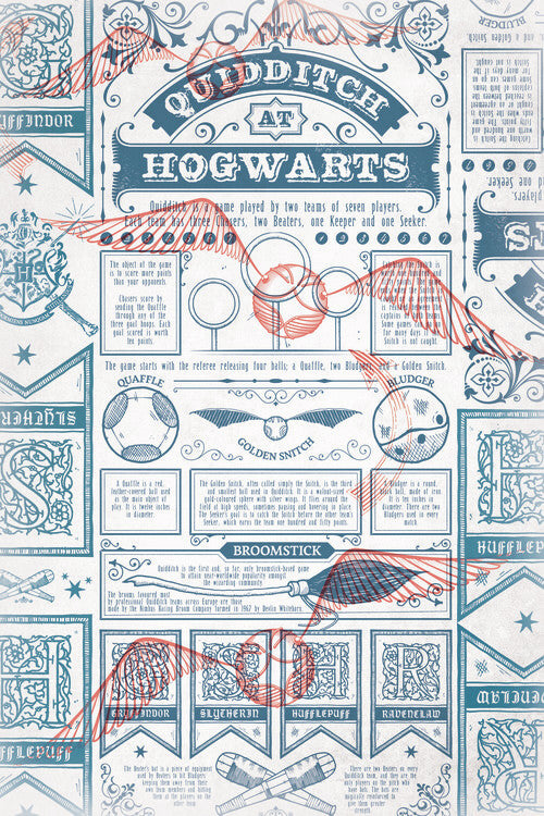 Harry Potter - Quidditch at Hogwarts Poster, Plakat, 26.7 × 40 cm