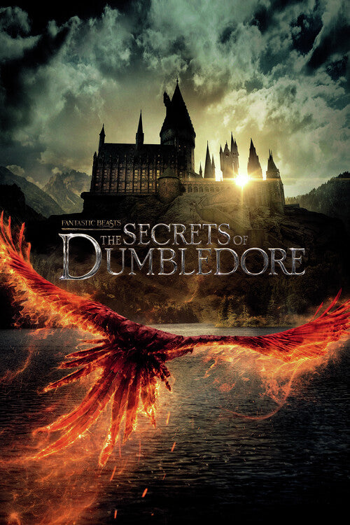 Phantastische Tierwesen - The secrets of Dumbledore Poster, Plakat, 26.7 × 40 cm
