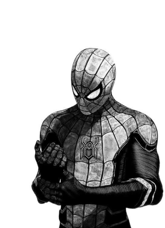 Leinwand Poster, Bilder Spider-Man, 65 × 90 cm