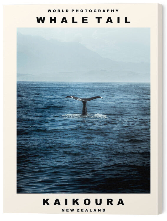 Leinwand Poster, Bilder Whale Tail (Kaikoura, New Zealand), 45 × 60 cm