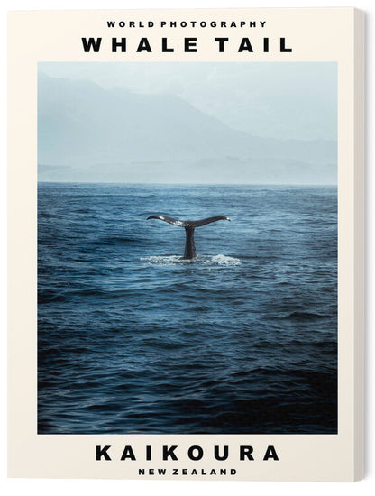 Leinwand Poster, Bilder Whale Tail (Kaikoura, New Zealand), 45 × 60 cm