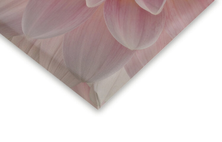 Leinwand Poster, Bilder Blush, Richard Urbanski, 60 × 40 cm