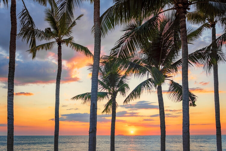Leinwand Poster, Bilder Tropical Sunset, 90 × 60 cm