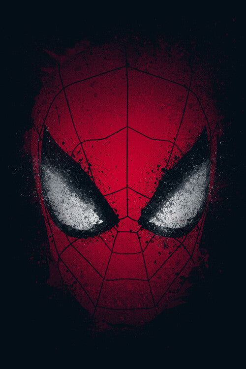 Leinwand Poster, Bilder Spider inside, 60 × 90 cm