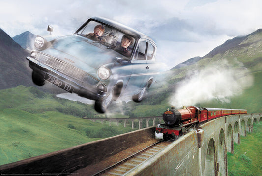 Harry Potter - Ford Poster, Plakat, 91.5 × 61 cm