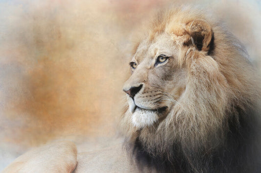 Leinwand Poster, Bilder In Deep Thought, Linda D Lester, 90 × 60 cm