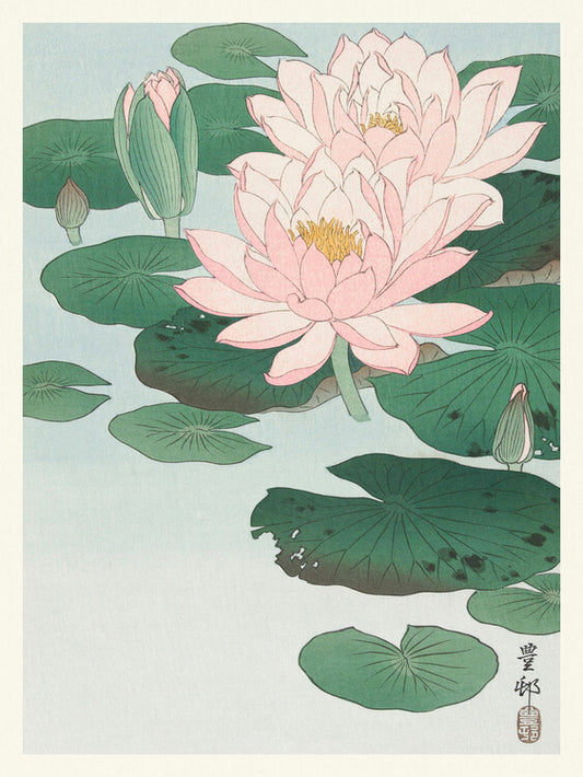 Water Lily, Ohara Koson Poster, Plakat, 30 × 40 cm