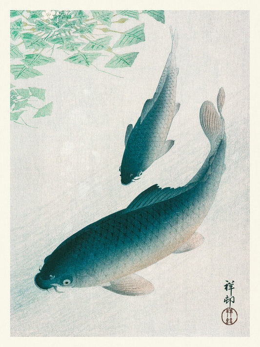 Two Carp Fish, Ohara Koson Poster, Plakat, 30 × 40 cm