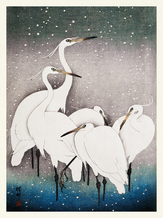 Group of Egrets, Ohara Koson Poster, Plakat, 30 × 40 cm