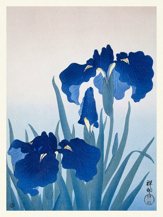 Blue Iris Flowers, Ohara Koson Poster, Plakat, 30 × 40 cm