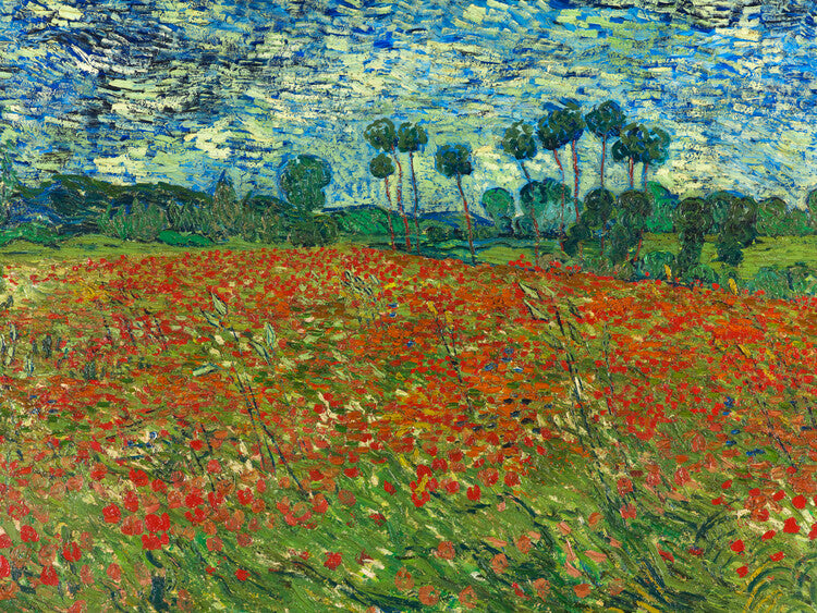 Poppy Fields, Vincent van Gogh Poster, Plakat, 40 × 30 cm