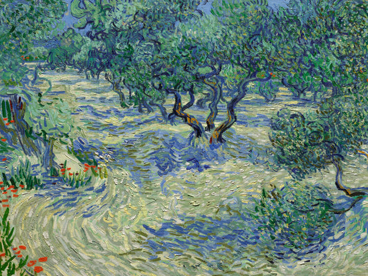 Olive Orchard, Vincent van Gogh Poster, Plakat, 40 × 30 cm