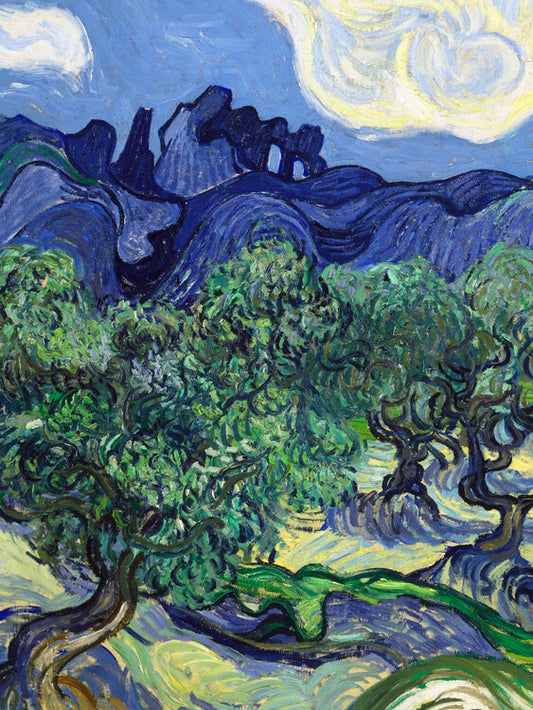 The Olive Trees, Vincent van Gogh Poster, Plakat, 30 × 40 cm