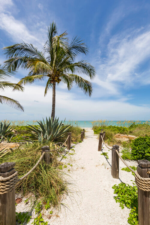 Leinwand Poster, Bilder Path to the beach, 60 × 90 cm
