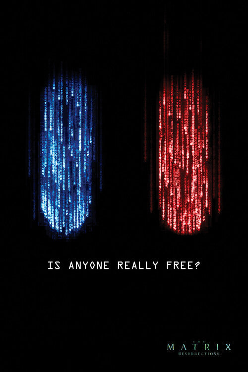 Matrix - Is anyone really free? Poster, Plakat, 80 × 120 cm