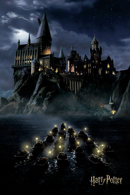 Harry Potter - Hogwarts Poster, Plakat, 80 × 120 cm