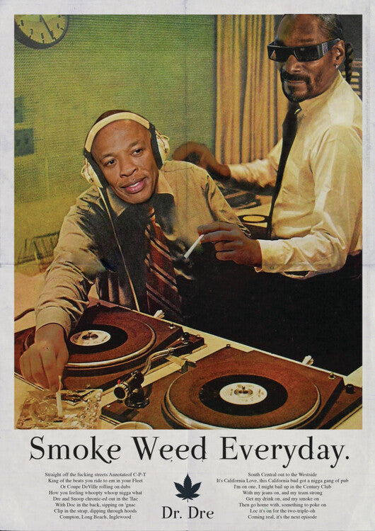 Snoop Dogg Poster, Plakat, 40 × 60 cm