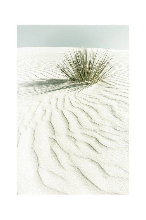 Melanie Viola - White sands Poster, Plakat, 40 × 60 cm
