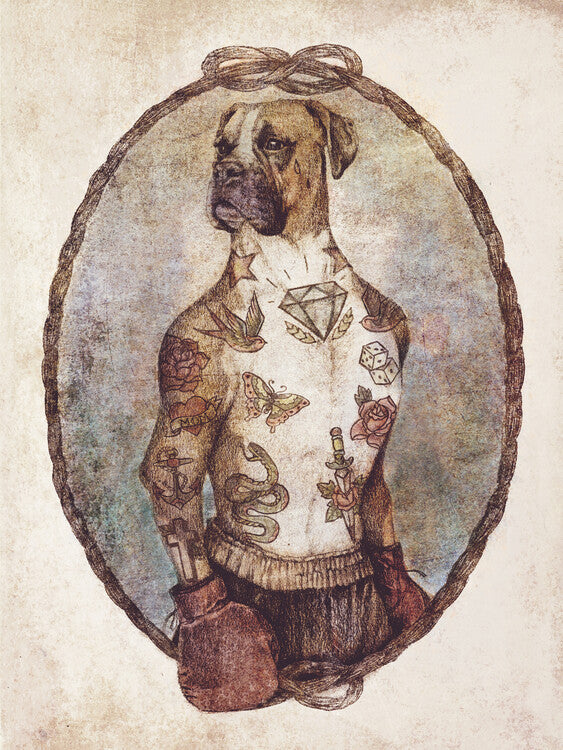 Leinwand Poster, Bilder Boxer, 60 × 80 cm