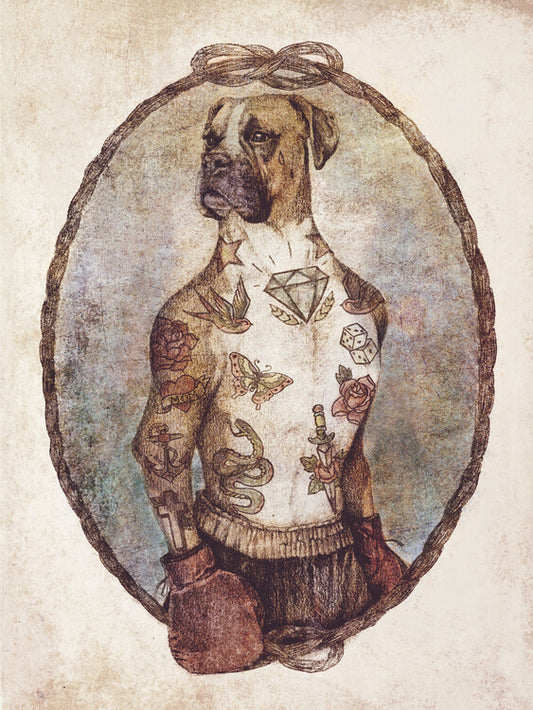 Leinwand Poster, Bilder Boxer, 60 × 80 cm
