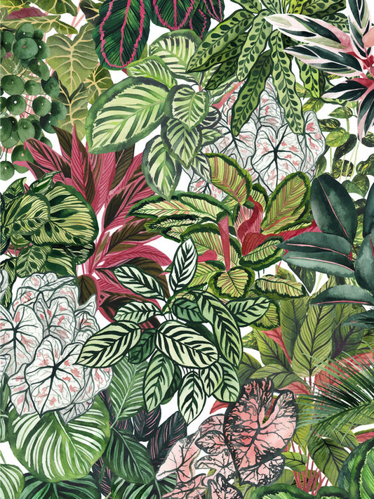 Leinwand Poster, Bilder Urban jungle 2, 60 × 80 cm