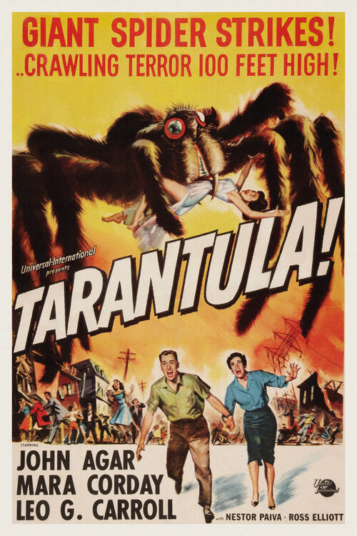 Tarantula Poster, Plakat, 26.7 × 40 cm