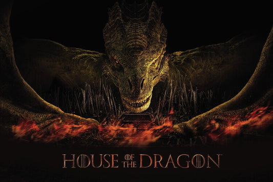House of the Dragon - Dragon's fire Poster, Plakat, 40 × 26.7 cm