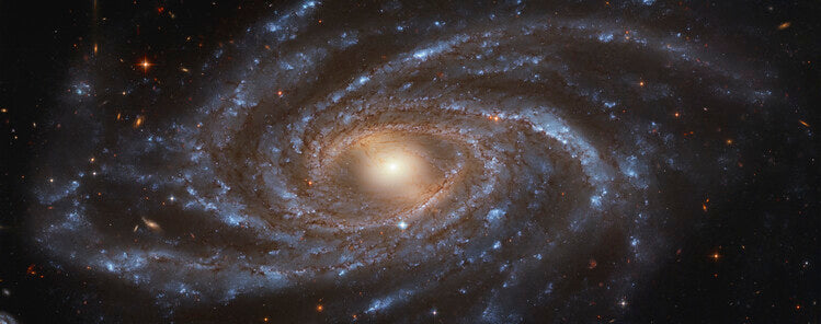 Leinwand Poster, Bilder NGC 2336 - Hubble, 90 × 35 cm