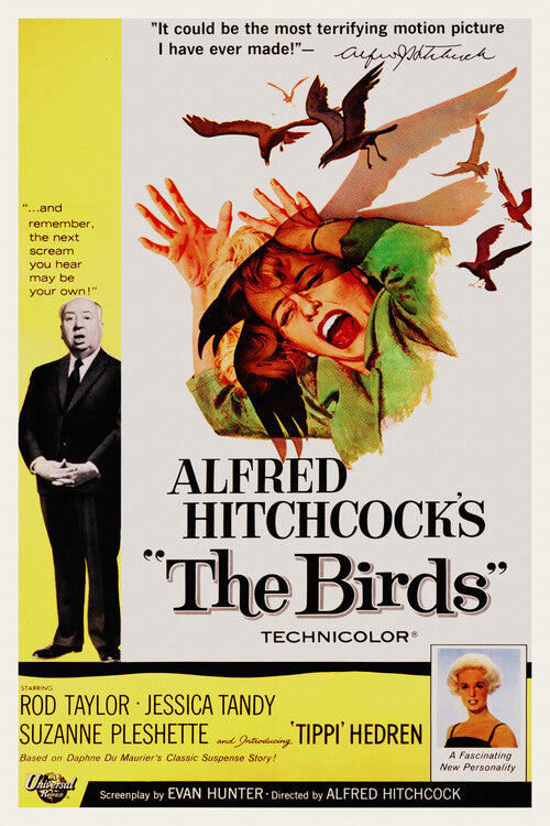 The Birds / Alfred Hitchcock / Tippi Hedren Poster, Plakat, 26.7 × 40 cm
