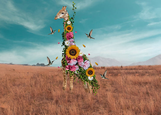 Leinwand Poster, Bilder Giraffe, Salome Zhividze, 90 × 65 cm