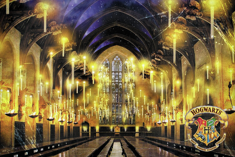 Harry Potter - Great Hall Poster, Plakat, 40 × 26.7 cm