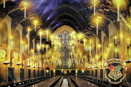 Harry Potter - Great Hall Poster, Plakat, 40 × 26.7 cm
