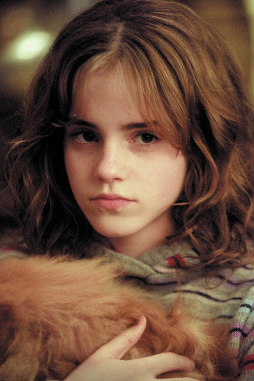 Harry Potter - Hermione Granger Poster, Plakat, 26.7 × 40 cm