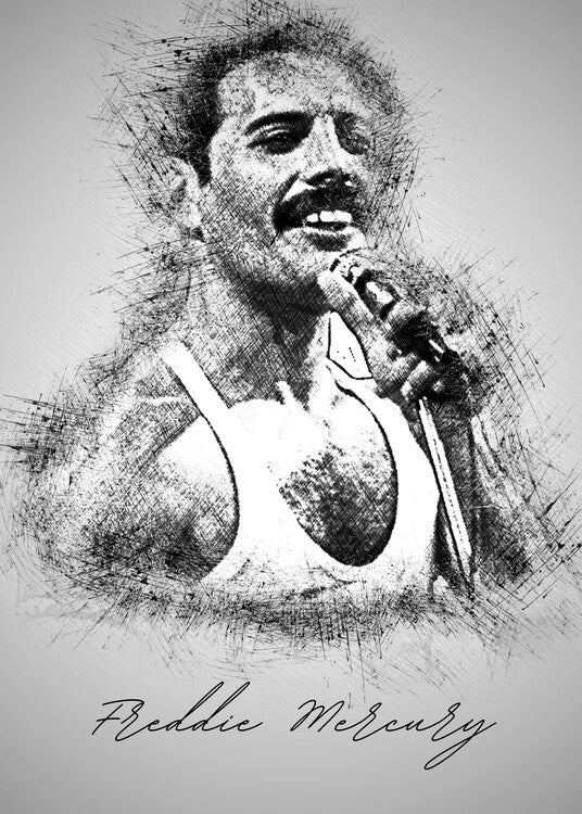 Leinwand Poster, Bilder F. Mercury Sketch, 65 × 90 cm